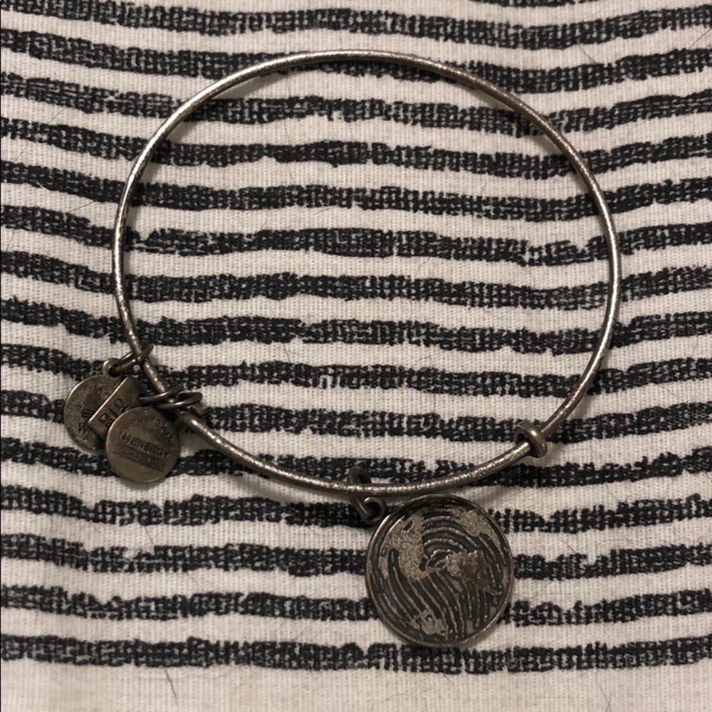 Alex and Ani world bracelet